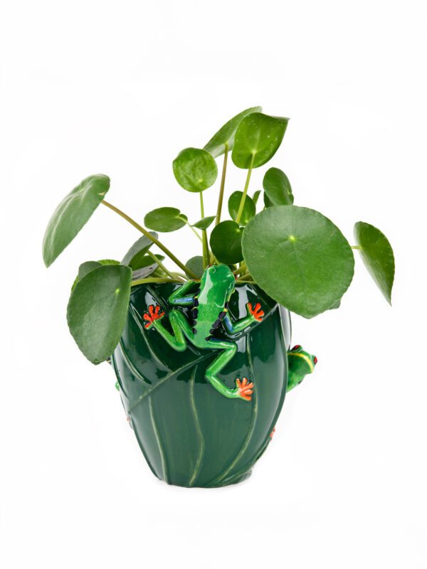 Tree Frog Flower Vase
