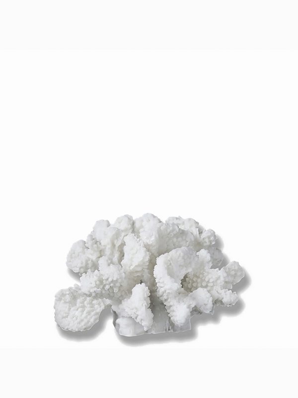 CORAL, branches - small