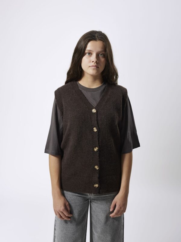 NLFNEDE SL LONG V-NECK KNIT VE