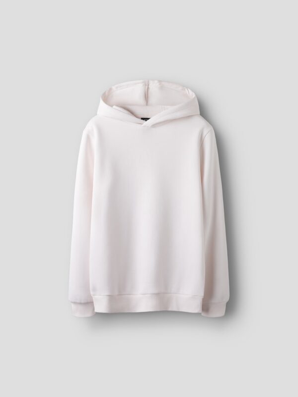NLFLAKE LS BRU SWEAT W. HOOD