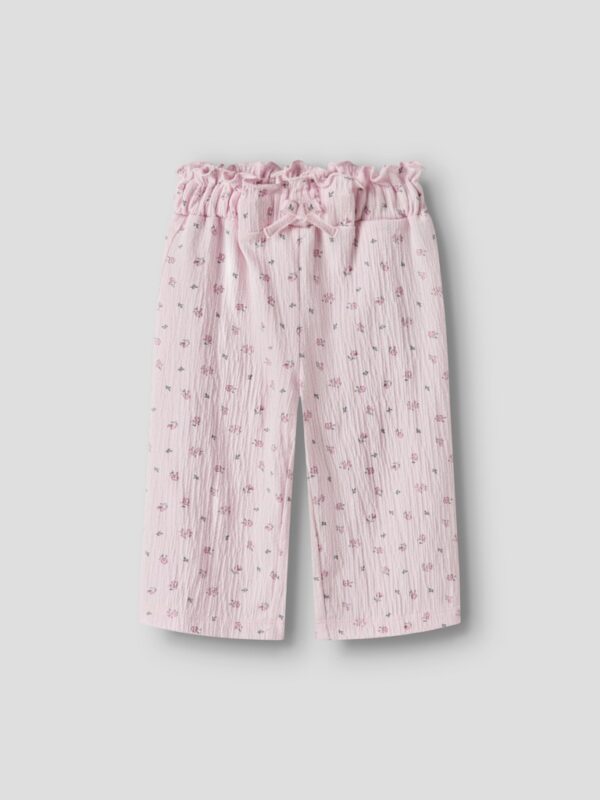 NBFJANNIS PANT