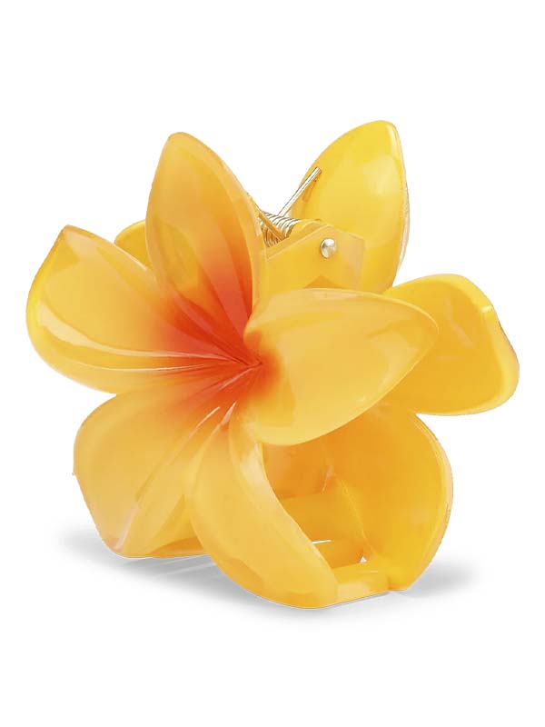 Plumeria Bella Big