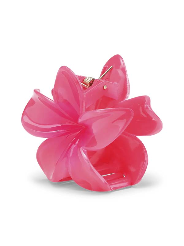 Plumeria Bella Mini