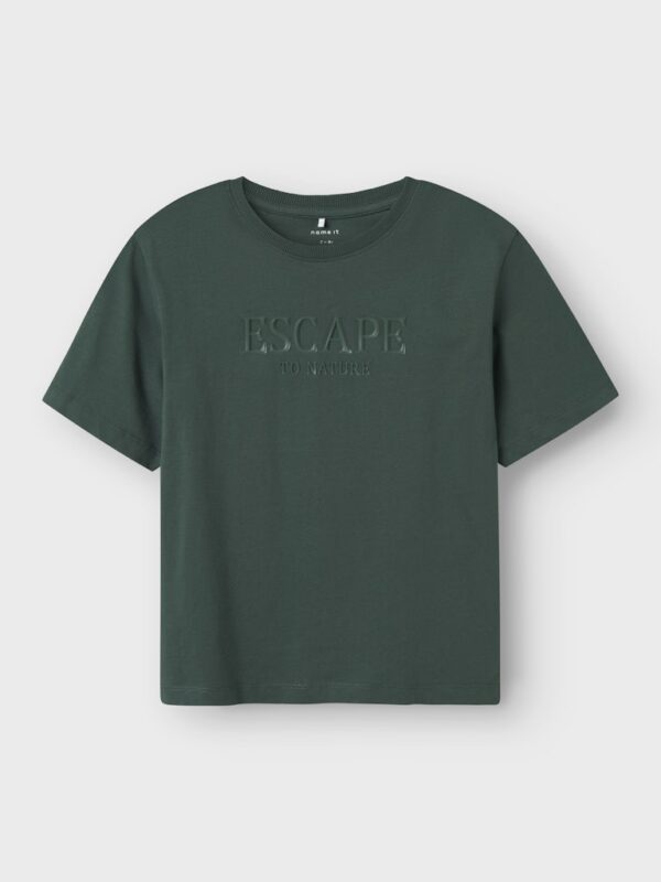NKMLAURENT SS NREG TOP