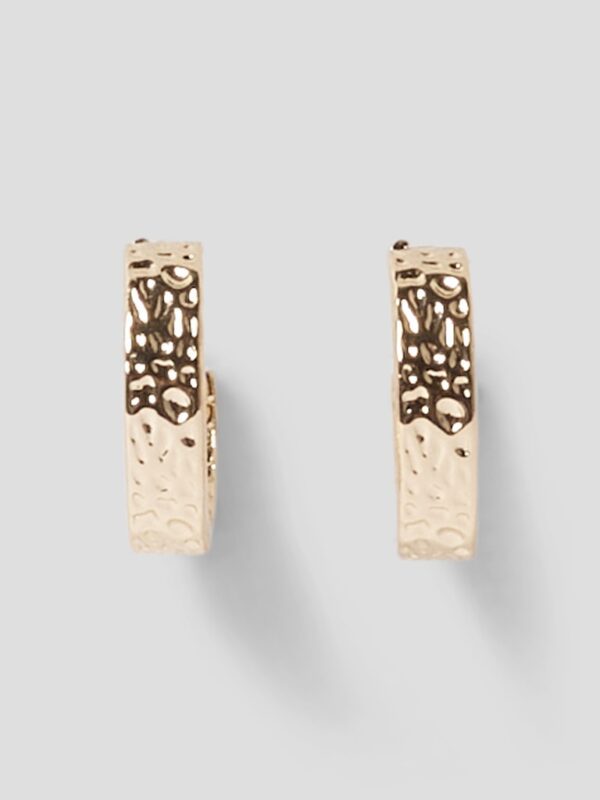 NLFRALLY SMALL EARRINGS