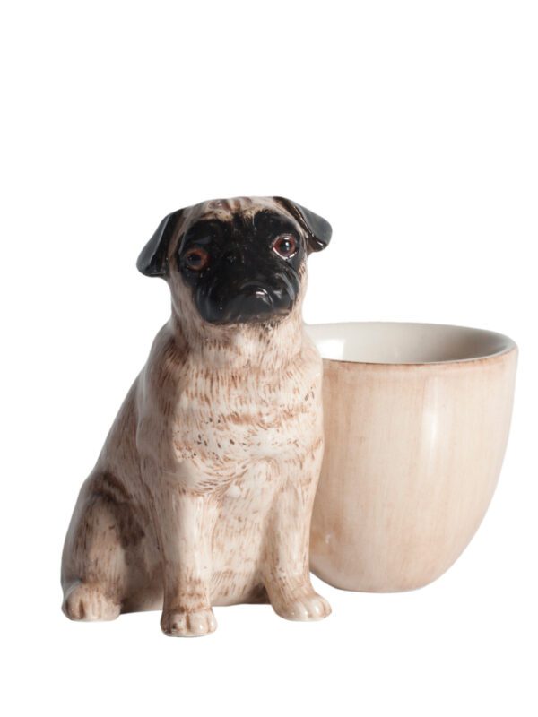 Pug with egg cup fawn