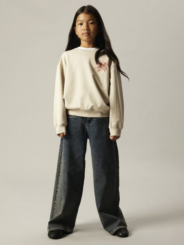 NKFRASAB LS NREG SWEAT BRU BOX