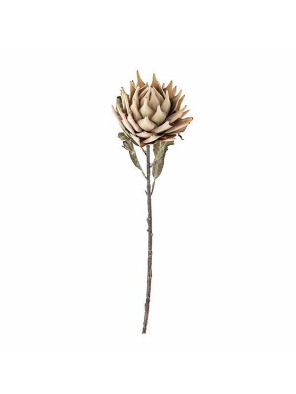 Protea Stem, Nature, Artificial Flowers
