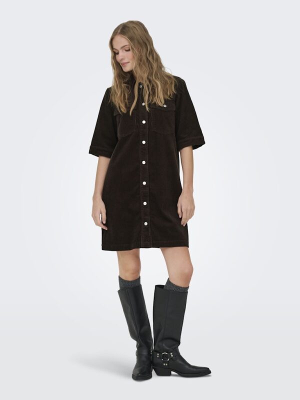 JDYSHIRAZ S/S BUTTON DRESS PNT