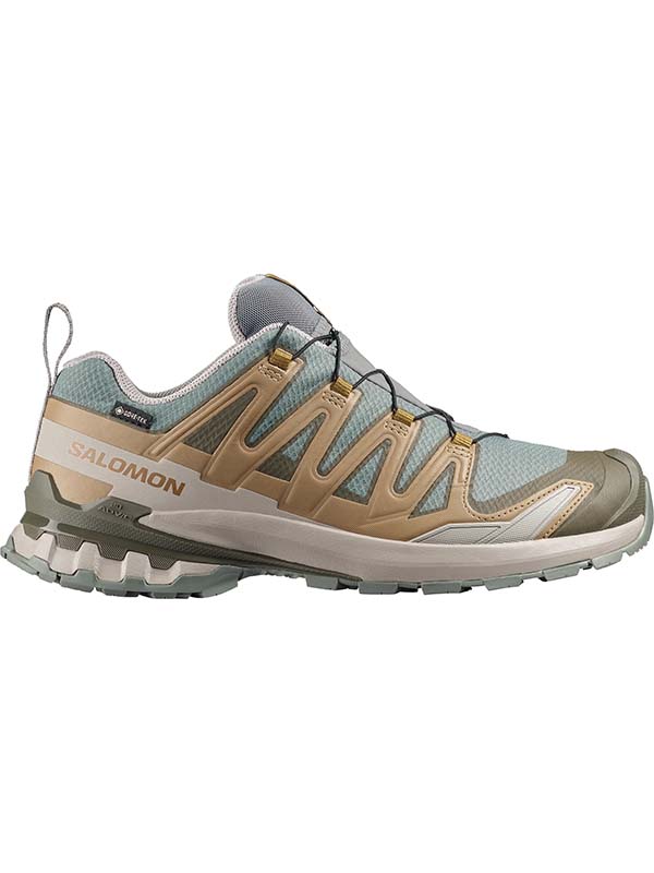 SHOES XA PRO 3D V9 GTX Sedsa/Planta/Palo