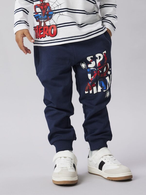NMMFLOYD SPIDER NREG SWE PANTS