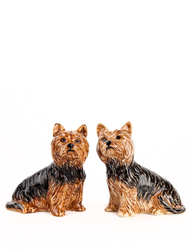 Yorkshire Terrier Salt and Peppe