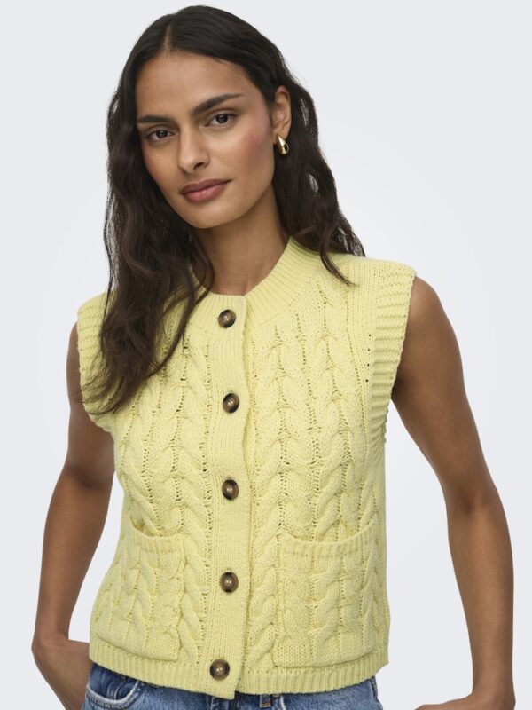 JDYANNALISE S/L O-NECK CABLE VEST KNT