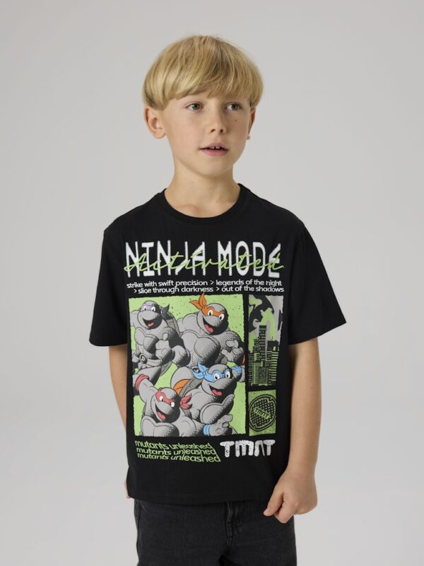 NKMDON TURTLES SS NREG TOP BOX