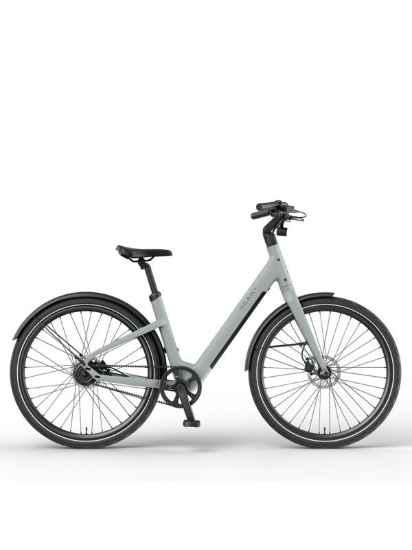 Reany V1 Vivo City Fresh Gray