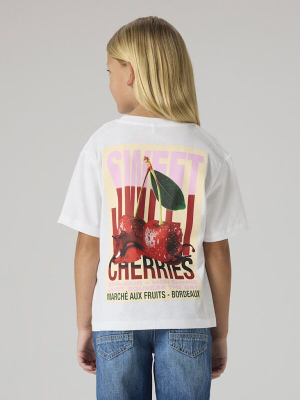 NKFDOSSA SS NREG TOP