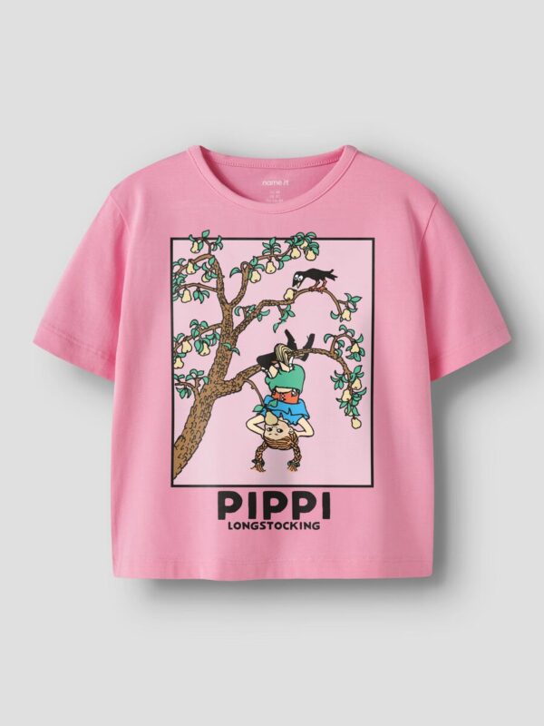 NMFMURI PIPPI SS NREG TOP BOX