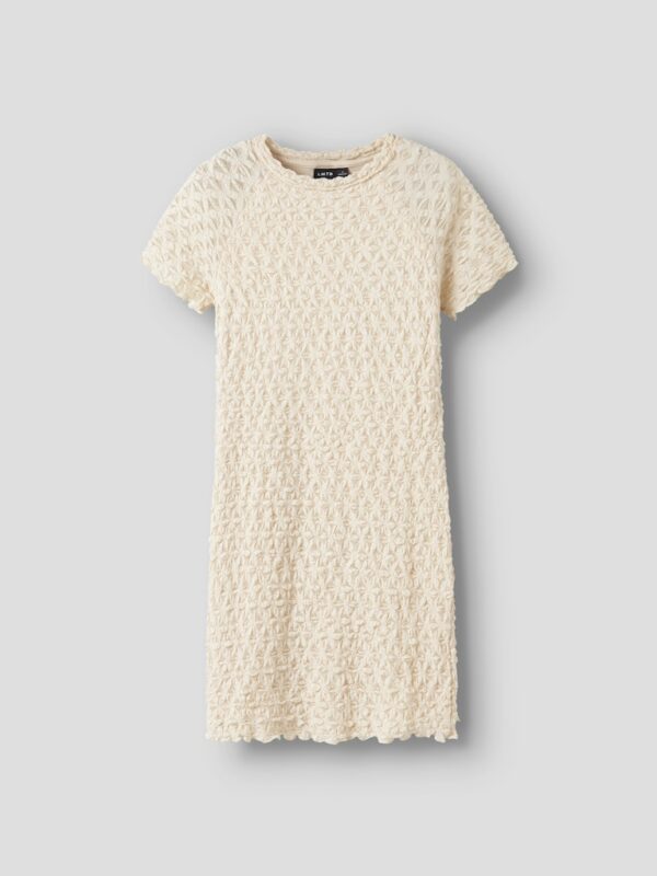 NLFRALMA SS SHORT LACE DRESS