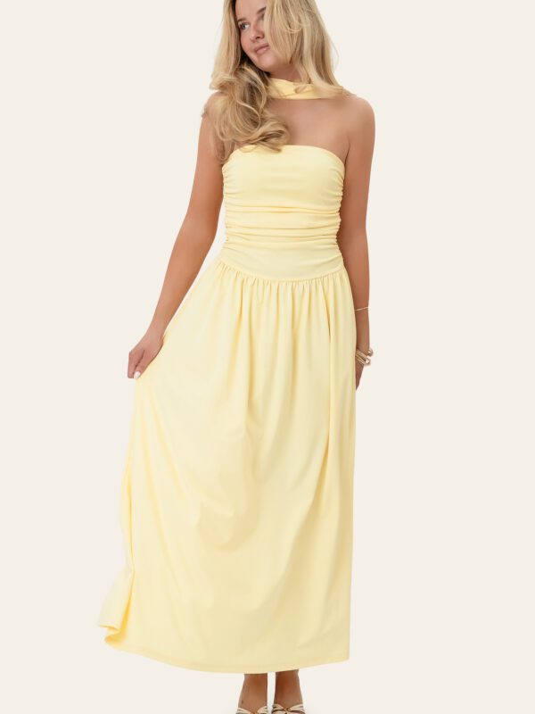 ASTRIDIC LONG DRESS