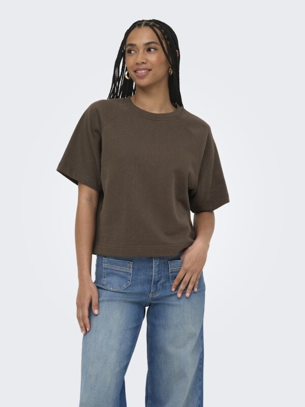 ONLOFELIA SS RAGLAN UB CC SWT